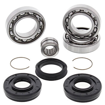 ALL BALLS DIFFERENTIAL BEARING & SEAL KIT (25 2082)