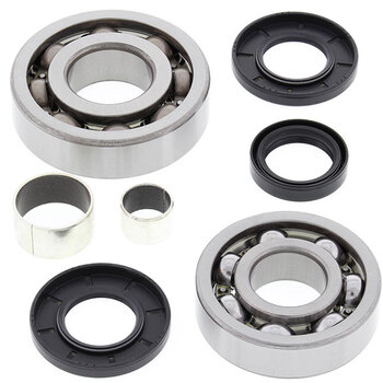 ALL BALLS DIFFERENTIAL BEARING & SEAL KIT (25 2049)