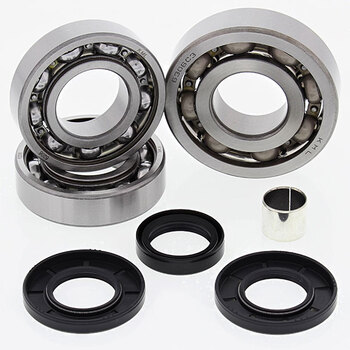 ALL BALLS DIFFERENTIAL BEARING & SEAL KIT (25 2091)