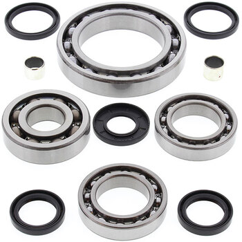 ALL BALLS DIFFERENTIAL BEARING & SEAL KIT (25 2049)