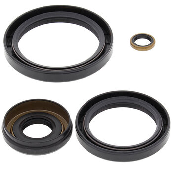 ALL BALLS DIFFERENTIAL BEARING & SEAL KIT (25 2066)