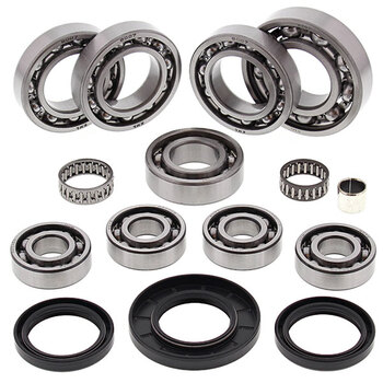 ALL BALLS DIFFERENTIAL BEARING & SEAL KIT (25 2111)