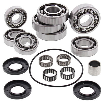 ALL BALLS DIFFERENTIAL BEARING & SEAL KIT (25 2051)