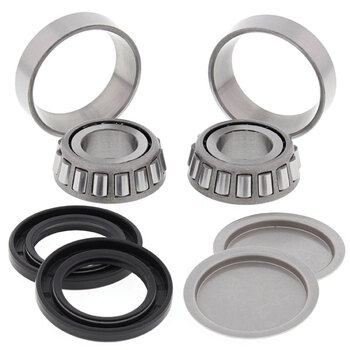 ALL BALLS SWING ARM BEARING & SEAL KIT (28 1058)