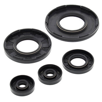 VERTEX ENGINE OIL SEAL KIT (622206)