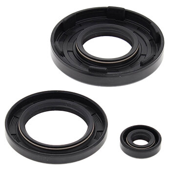 VERTEX ENGINE OIL SEAL KIT (622206)