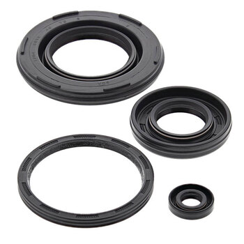 VERTEX ENGINE OIL SEAL KIT (622206)