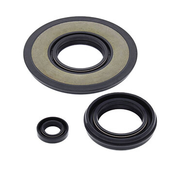 VERTEX ENGINE OIL SEAL KIT (622206)