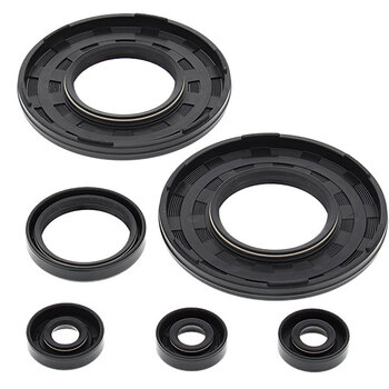 VERTEX ENGINE OIL SEAL KIT (55105)