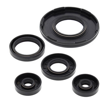 VERTEX ENGINE OIL SEAL KIT (55105)