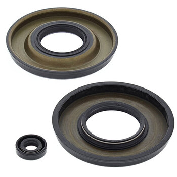 Vertex Engine Oil Seal Kit (55205)