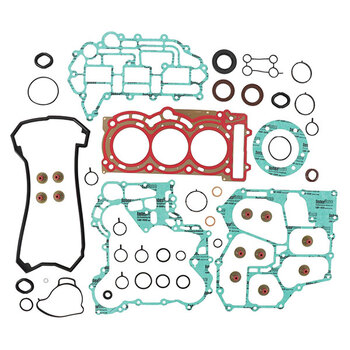 VERTEX COMPLETE GASKET SET WITH OIL SEALS (611206)