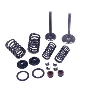 MOGO PIÈCES VALVE KIT (61 0220)