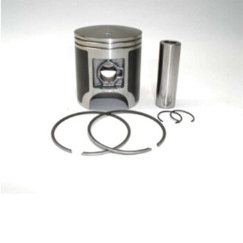 PISTON DE MOTONEIGE SPX (09 695)