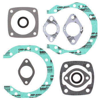 VERTEX GASKET SET & OIL SEALS (711291)