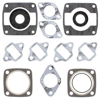 VERTEX GASKET SET & OIL SEALS (711291)