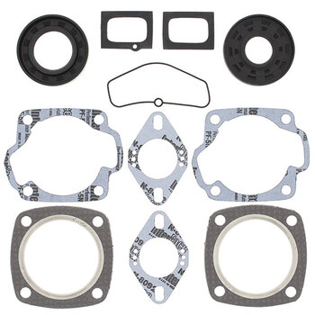 VERTEX GASKET SET & OIL SEALS (711191)