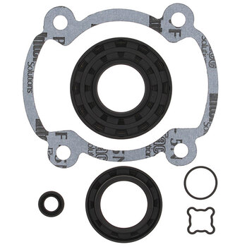 VERTEX GASKET SET & OIL SEALS (711010)