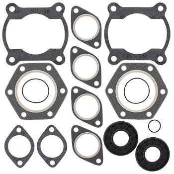 VERTEX GASKET SET & OIL SEALS (711048)