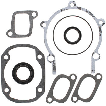 VERTEX GASKET SET & OIL SEALS (711262)