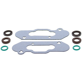 VERTEX DIAPHRAGM & GASKET SET (451410)