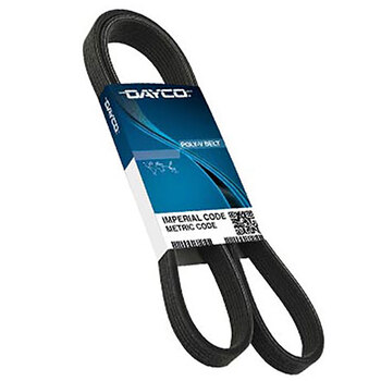 DAYCO WATER PUMP & FAN BELT (15225)