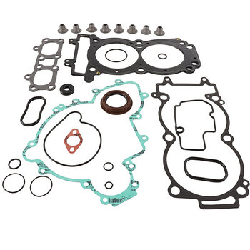 VERTEX GASKET SET & OIL SEALS (811970)