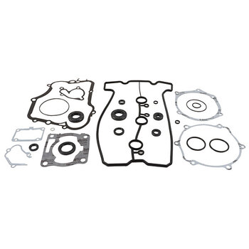 VERTEX GASKET SET & OIL SEALS (811468)