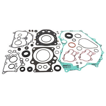 VERTEX GASKET SET & OIL SEALS (811875)