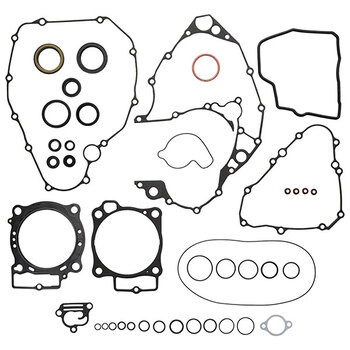 VERTEX GASKET SET & OIL SEALS (811468)