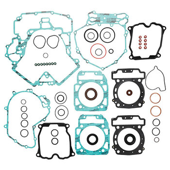 VERTEX GASKET SET & OIL SEALS (811875)