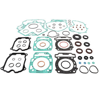 VERTEX GASKET SET & OIL SEALS (8110031)