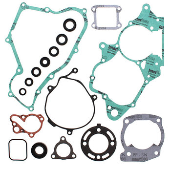 VERTEX GASKET SET & OIL SEALS (811468)