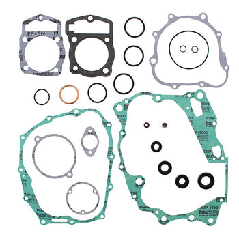 VERTEX GASKET SET & OIL SEALS (811468)