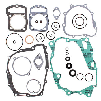 VERTEX GASKET SET & OIL SEALS (811468)