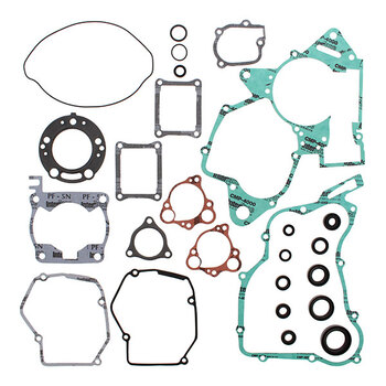 VERTEX GASKET SET & OIL SEALS (811468)