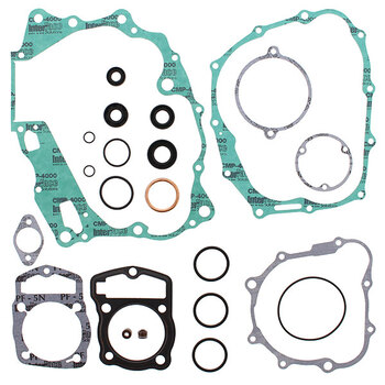 VERTEX GASKET SET & OIL SEALS (811468)