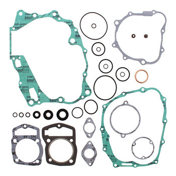 VERTEX GASKET SET & OIL SEALS (811468)