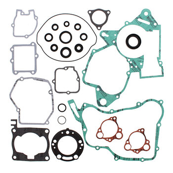 VERTEX GASKET SET & OIL SEALS (811468)