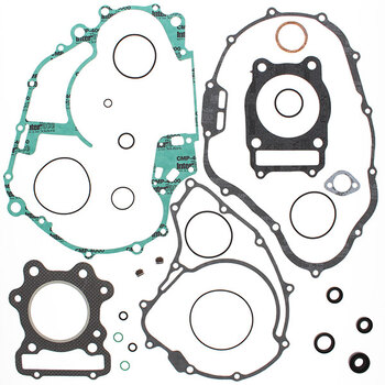 VERTEX GASKET SET & OIL SEALS (811970)