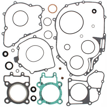 VERTEX GASKET SET & OIL SEALS (811970)