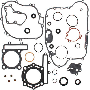 VERTEX GASKET SET & OIL SEALS (8110031)