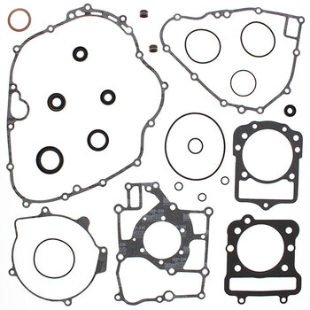 VERTEX GASKET SET & OIL SEALS (811815)