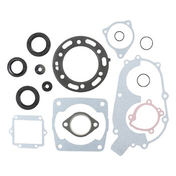 VERTEX GASKET SET & OIL SEALS (811964)