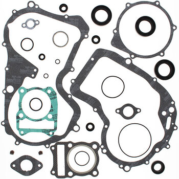 VERTEX GASKET SET & OIL SEALS (811964)