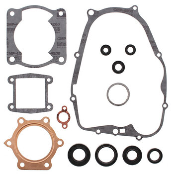 VERTEX GASKET SET & OIL SEALS (811964)