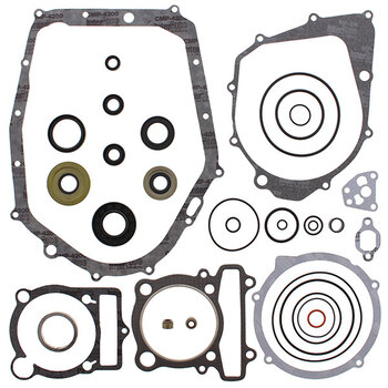 VERTEX GASKET SET & OIL SEALS (811964)