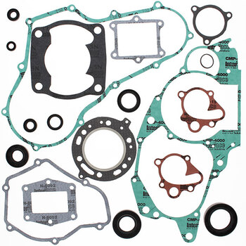 VERTEX GASKET SET & OIL SEALS (811875)