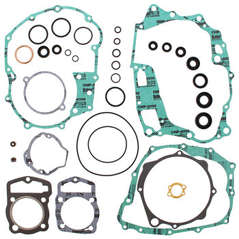 VERTEX GASKET SET & OIL SEALS (811964)