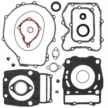 VERTEX GASKET SET & OIL SEALS (811875)